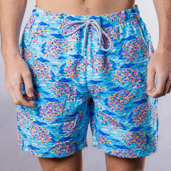 Santorini Swim Trunks in Royal